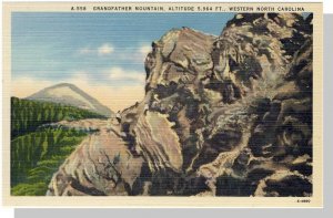 Nice Western, North Carolina/NC Postcard, Grandfather Mountain, Near Mint!