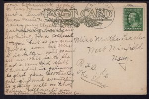 Dressed Dogs in Carriage BIN