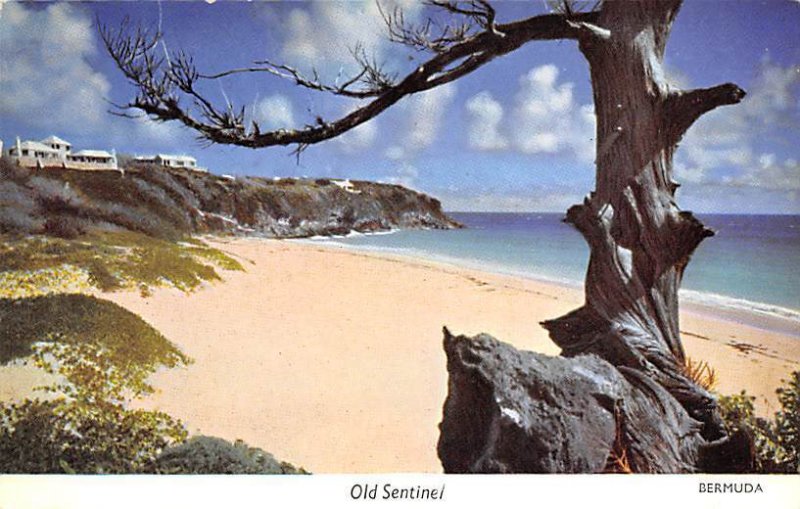 Old Sentinel Beach Scene West Beach in Tucker's Town Bermuda Island Unused 