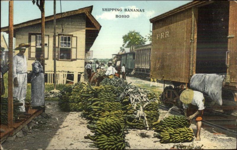 Panama - RR Train Car Shipping Bananas - Bohio c1910 Postcard