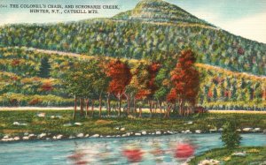 Vintage Postcard Colonel's Chair & Schonarie Creek Hunter Catskill Mts. New York