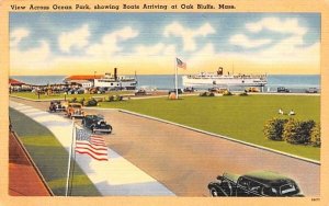 View Across Ocean Park in Oak Bluffs, Massachusetts showing boats arriving