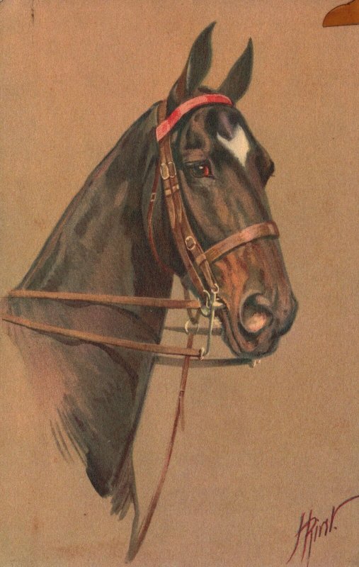 Vintage Postcard Portrait of Beautiful Horse Head Art Paintings Animal