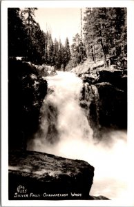 Real Photo Postcard Silver Falls in Ohanapecosh, Washington