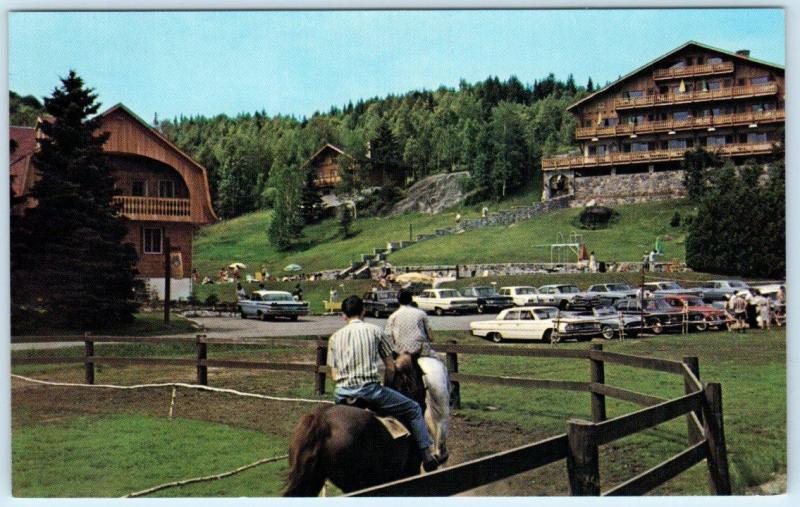 STE ADELE, QUEBEC Canada  Roadside SUN VALLEY HOTEL SUISSE Horses 1960s Postcard