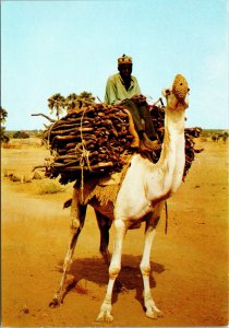 VINTAGE CONTINENTAL SIZE POSTCARD CAMEL DRIVER DECORATED WOODEN LUGGAGE AFRICA