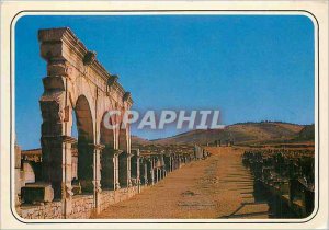 Modern Postcard Basilica and the Capitol Volubilis