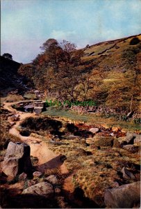 Yorkshire Postcard-Bronte Country -Bronte Bridge and Seat, Haworth Moors RR15357