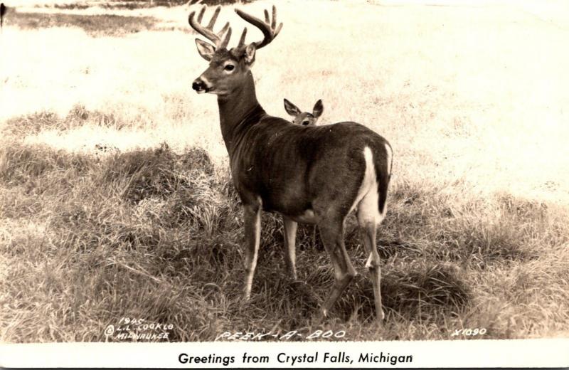 Michigan Greetings From Crystal Falls Male Deer Real Photo