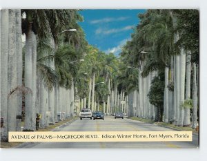 Postcard Avenue of Palms-McGregor Blvd., Edison Winter Home, Fort Myers, Florida