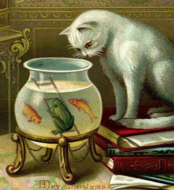 1880s-90s Victorian Christmas Card White Cat Goldfish & Frog In Bowl P214