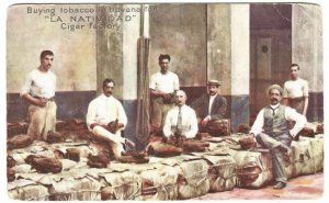 Postcard Buying Tobacco Havana La Natividad Cigar Factory