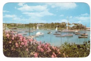 Boats, Wychmere Harbor, Harwichport, Cape Cod, MA, Vintage 1955 Chrome Postcard