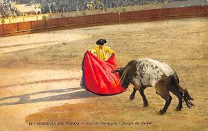 Corrida De Tores Bullfighting PU 1916 