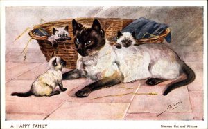 M Gear Siamese Mother Cat and Kittens Happy Family Vintage Postcard