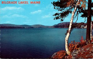 Maine Belgrade Lakes View Along The Shore
