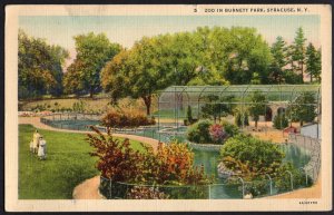 New York SYRACUSE Zoo in Burnett Park Cages for Wild Fowl - pm1940 - LINEN
