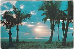 A Florida Sunrise, Vintage 1980 Chrome Postcard