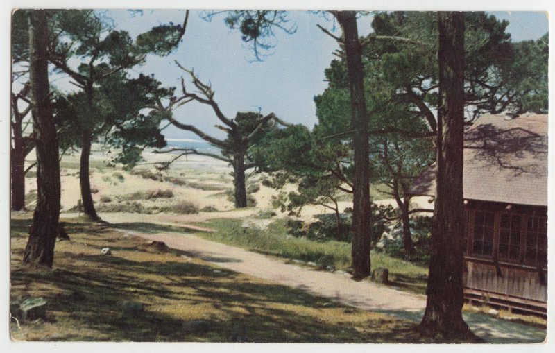 P2717 old postcard asilomar beach view pacific grove calif