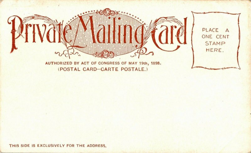 Robert E. Lee Mansion, Arlington National Cemetery VA UDB Vintage Postcard E49 