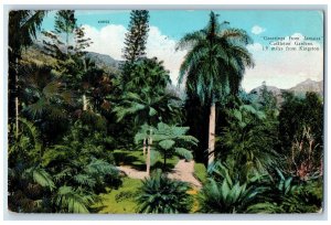 1935 Greetings from Jamaica Castleton Gardens 19 Miles from Kingston Postcard