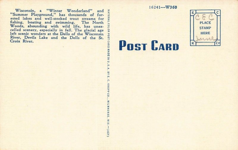 LPS51 WISCONSIN LARGE BIG Letter Postcard