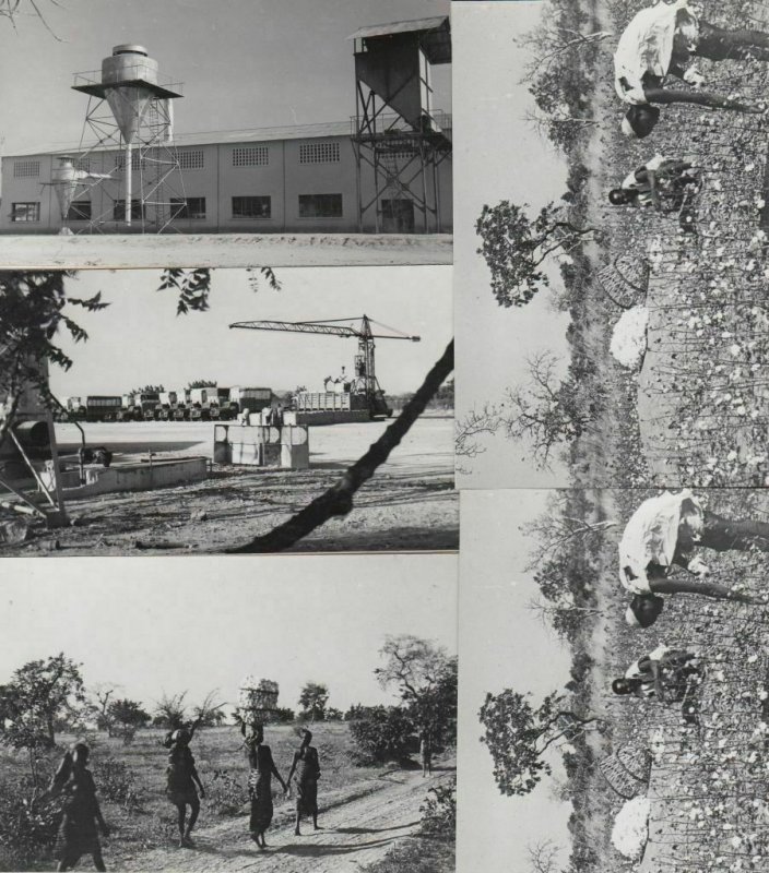 COTTON INDUSTRY USA CAMEROUN 18 Cartes Postales 1900-1940 (L3758)