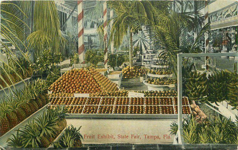 1918 Farm Agriculture Fruit Exhibit State Fair Tampa Florida Postcard 5192