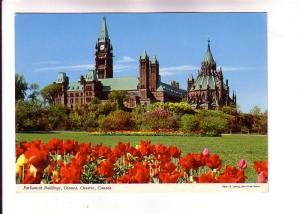 Tulips in Front of Parliament Buildings, Ottawa, Ontario, E Ludwig, John Hind...