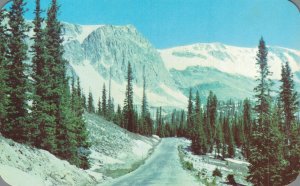 USA Highway No. 130 Snowy Range Medicine Bow National Forest Postcard 07.30