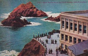 Seal Rocks From The Cliff House San Francisco California