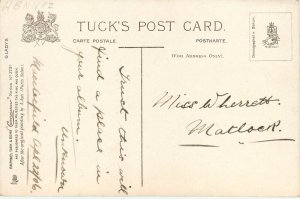 Tuck Connoisseur Postcard Ser. 2731 Asti, Gladys, Beauty w/ Long Dark Hair
