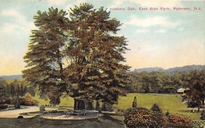 Historic Oak, East Side Park in Paterson, New Jersey