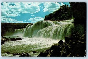 c1950's Rainbow Falls River Grove Rocks Great Falls Montana MT Vintage Postcard