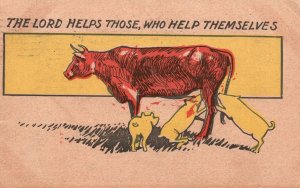 Vintage Postcard 1907 The Lord Helps Those Who Help Themselves Cow Feeding Pigs 