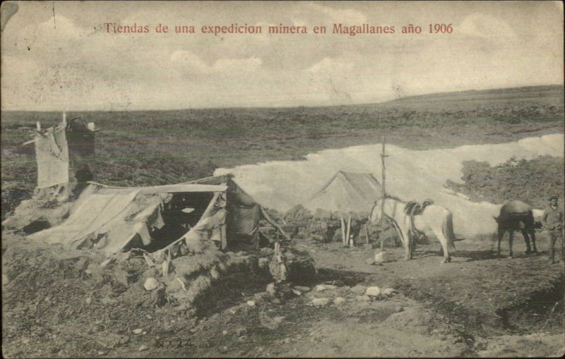 Magallanes Chile Minerals Mining Camp Miner Horse 1906 Used Postcard