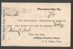 1918 PC Aldham Poulty Farms Tiffany Chicks That Live Phoenixville Pa