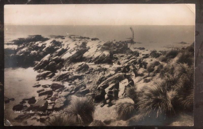 Ungebraucht Falkland Islands RPPC Postkarte Sea Lion Rookery Port Stanley