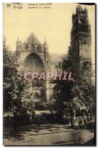 Old Postcard Brugge Cathedrale Saint Sauveur