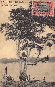 Belgian Congo 1911 La Lukula Arbre a copal Tree vintage postcard B984