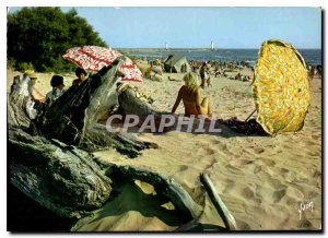 Modern Postcard The Tamarissiere Herault Beach