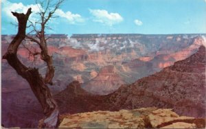 postcard Fred Harvey - Grand Canyon - Smokey bear cancel