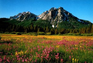 Idaho Sawtooth Mountain Range North Of Ketchum