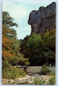 Natural Rock Formation Pennington Gap Hwy Stoneface Rock Lee County VA Postcard
