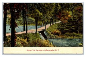 Vail Cemetery Schenectady New York NY 1909 DB Postcard P26