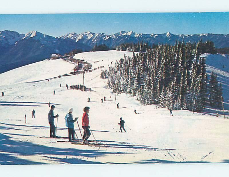 Pre-1980 Skiing HURRICANE RIDGE NATIONAL PARK Olympia WA ho8219