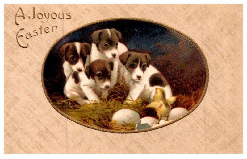 Dog ,  Puppies and Chicks , a Joyous Easter