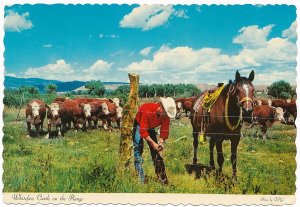 Whiteface Cattle on the Western Range - Cowboy Mending Fence