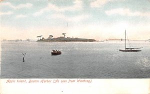 Apple Island Boston, Massachusetts Postcard