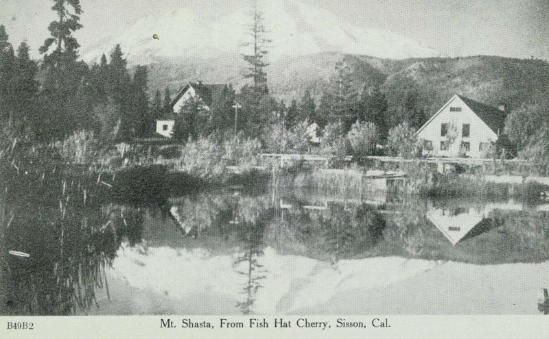 C.1910 Mt. Shasta, From Fish Hat Cherry, Sisson, Cal. Vintage Postcard P105